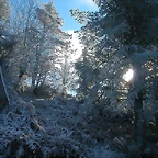 DSCN4779