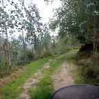 DSCN5817