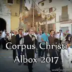 CORPUS ALBOX