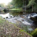 DSCN8267