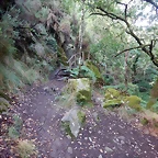 DSCN8438
