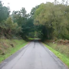 DSCN5813