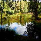 DSCN6338