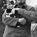 gatos_lenin