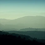 105-IMG_3044