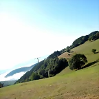 DSCN6951