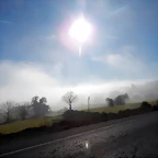 DSCN1021