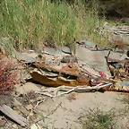 DSCN7543