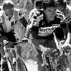 Perico-Tour1989-Lemond-Fignon-Rooks