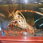 DSCN8773