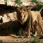 Zoo de Barcelona 12-12-2010 1264