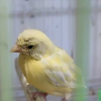 IMG_20220403_094447