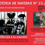 CARTEL_LOTERIA