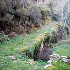 DSCN2824