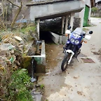DSCN8965
