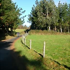 DSCN9054
