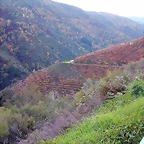 DSCN6562