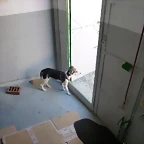 P1010309