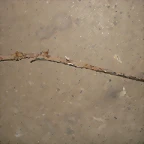 DSC03458