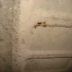 DSC03429