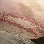 DSC03430