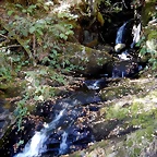 DSCN7875
