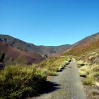 DSCN9349