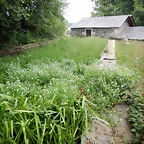 DSCN4430