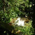 DSCN2363