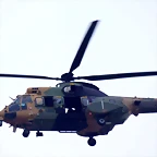 H288