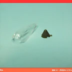 Diapositiva7