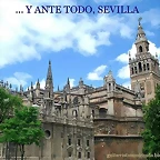 Catedral de sevilla