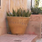 cocio para agua
