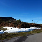 DSCN0254