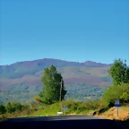 006-IMG_6561