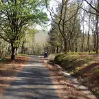 DSCN1948