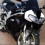 TL negra frontal blanco