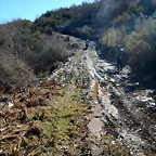 DSCN2564