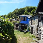 DSCN1515