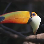 Zoo de Barcelona 26-02-12 221