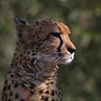 Zoo de Barcelona 26-02-12 051