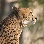 Zoo de Barcelona 26-02-12 053