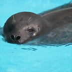 Zoo de Barcelona 26-02-12 705