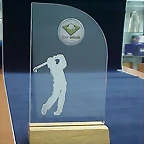 premios base madera (16)