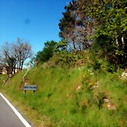 DSCN5784