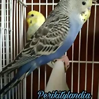 FB_IMG_1500155827636