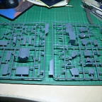 DSCN3523