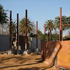 Zoo de Barcelona 23-01-11 061