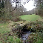 DSCN3002