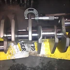 IMAG1562